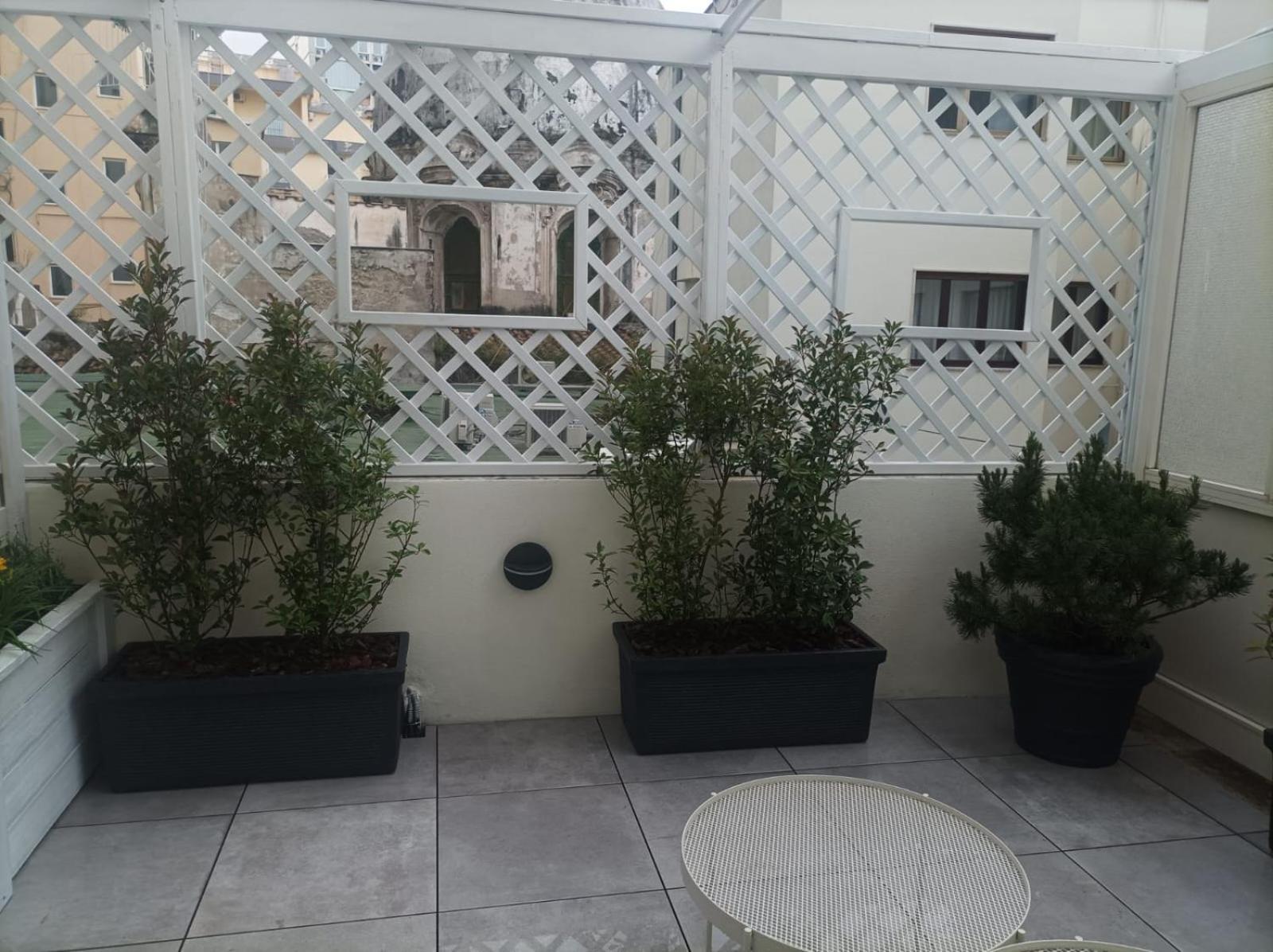 Domus Cervantes Apartment Napoli Dış mekan fotoğraf